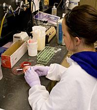 medical student working on experiment 